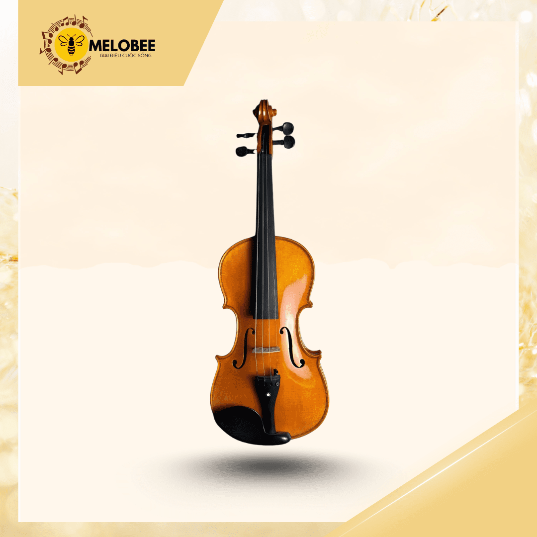 Đàn violin
